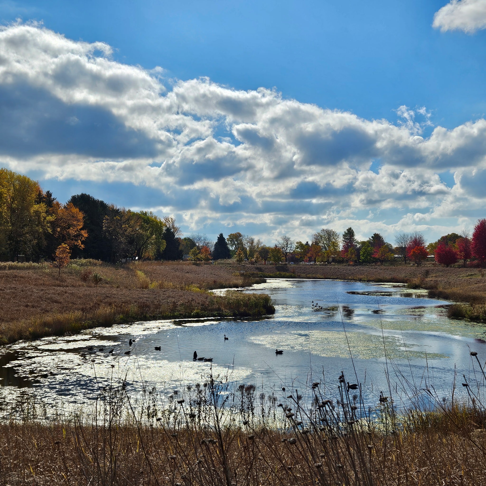 Friends of Scheig Center Gardens | Appleton WI