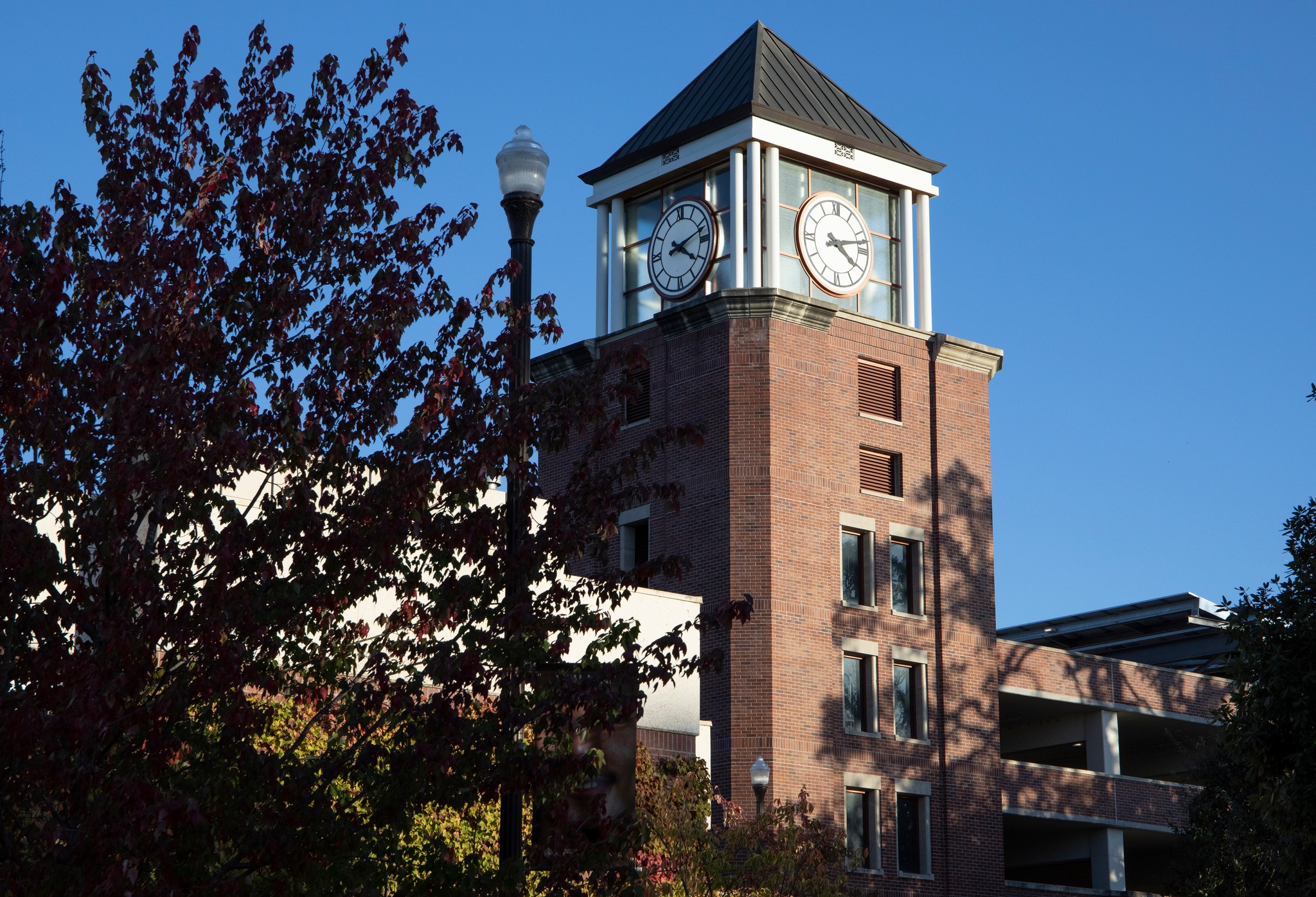 SRJC Foundation - Santa Rosa Junior College | Santa Rosa CA