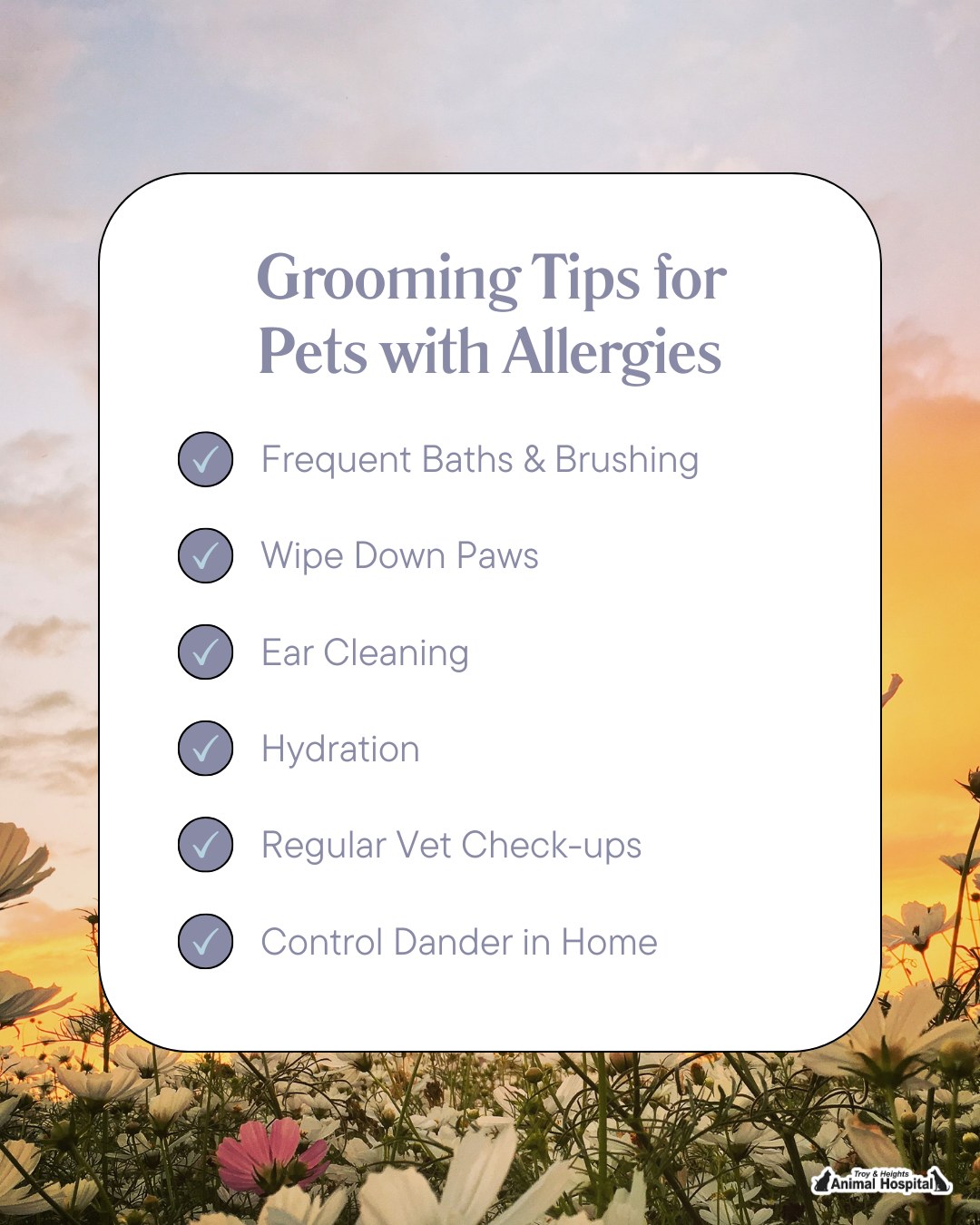Photo inspiration: Easy Pet Grooming For Pets With Pollen Allergies Reference: Troy Spring Allergies Can Leave Our Furry Friends Itchy And