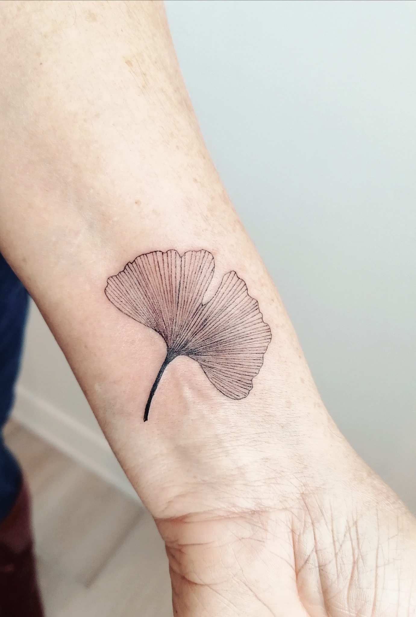 Tatouage Feuille De Ginkgo Signification