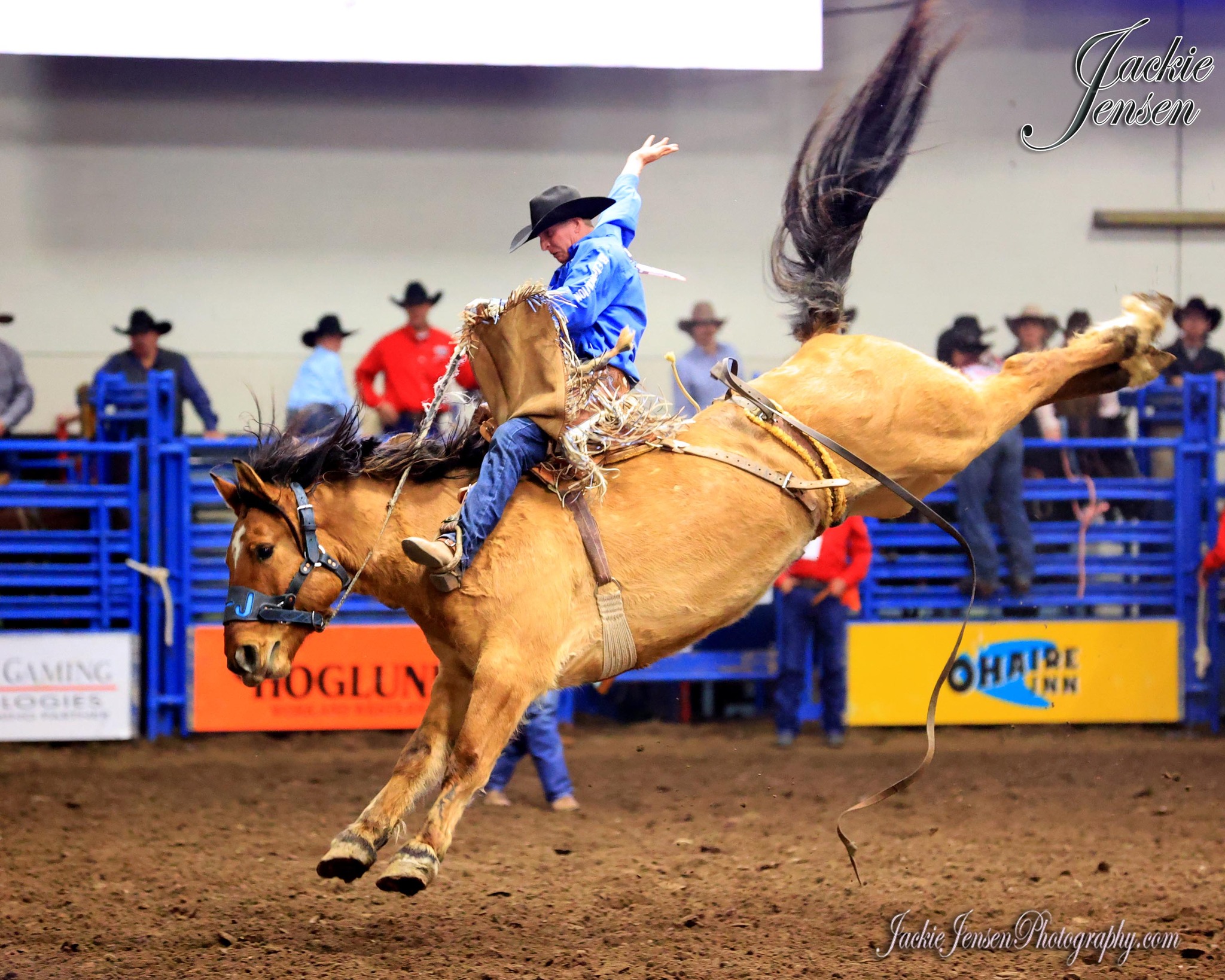 JackieJensenPhotography.com - Montana Pro Rodeo Circuit 2025 Saddle ...