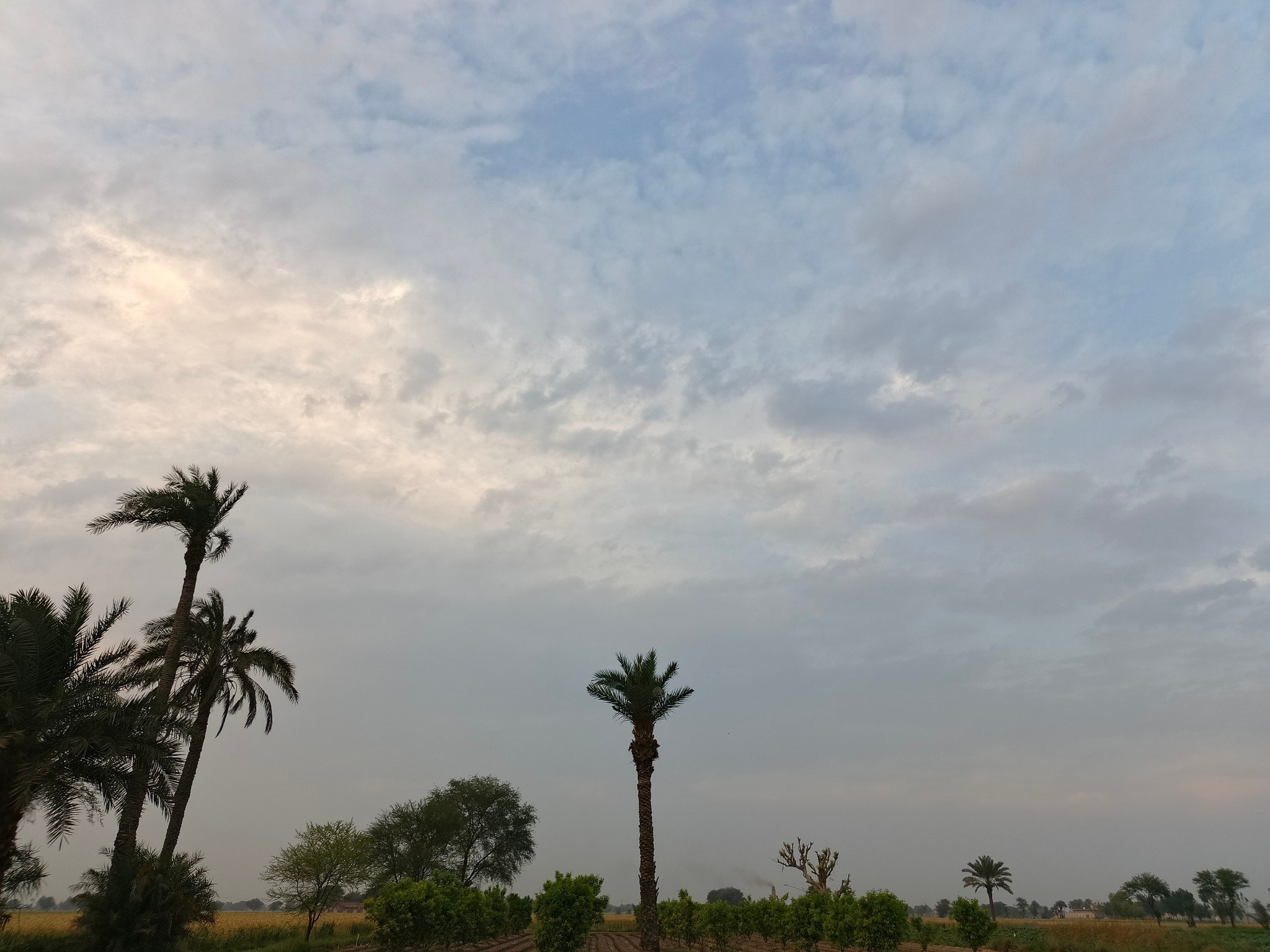 Pakistan - #MaxTemp | Facebook