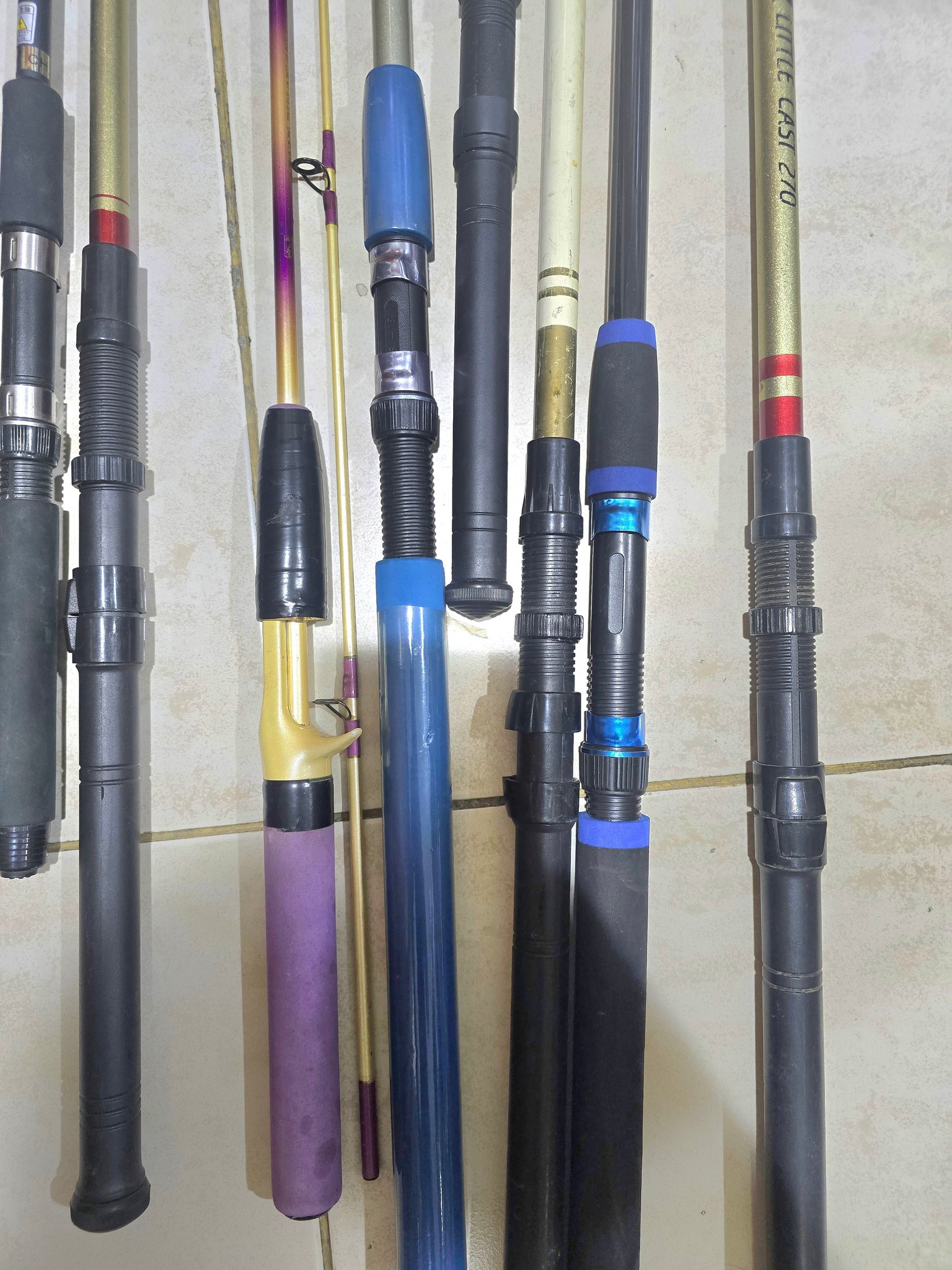 UAE Fishing and Diving Market | Dubai