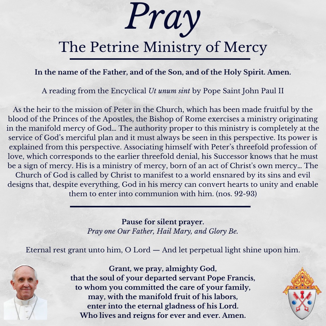 Today is Day 6 of the Novena in... - Diocese of Scranton | Facebook