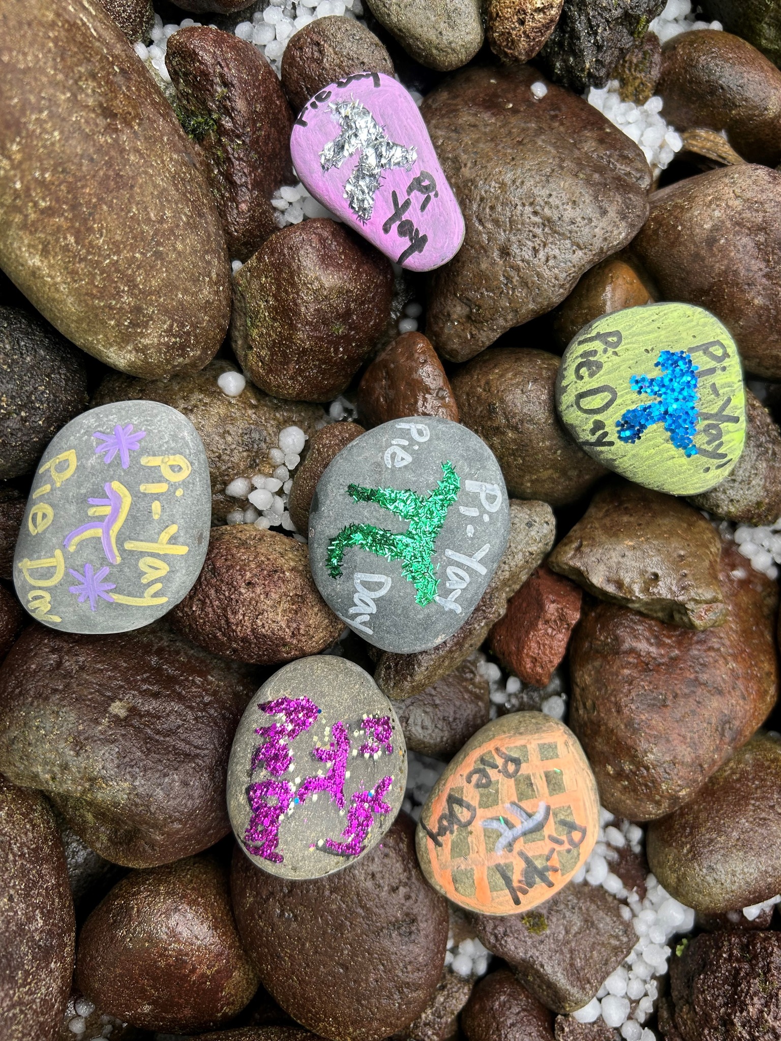 Salish Middle School - Does your child like skittles? Take our online ...