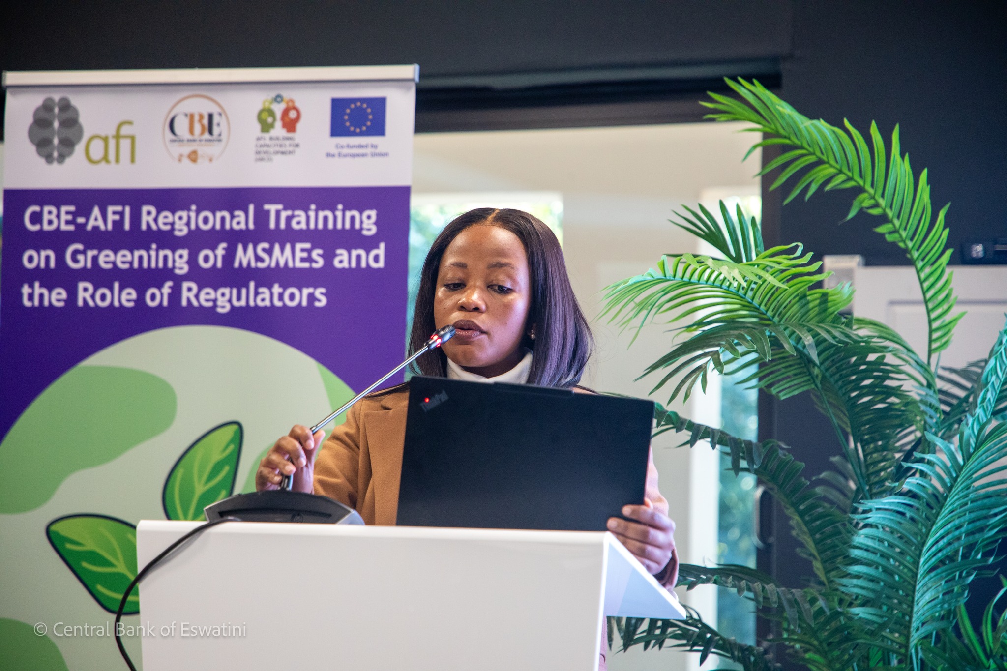 | CBE-AFI TRAINING MEETS... - Central Bank of Eswatini | Facebook