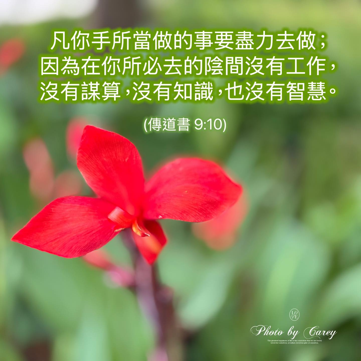 奥祕傳書 五行易精蘊 易经的奥秘（完整版） : 曾仕强: Amazon.sg: Books