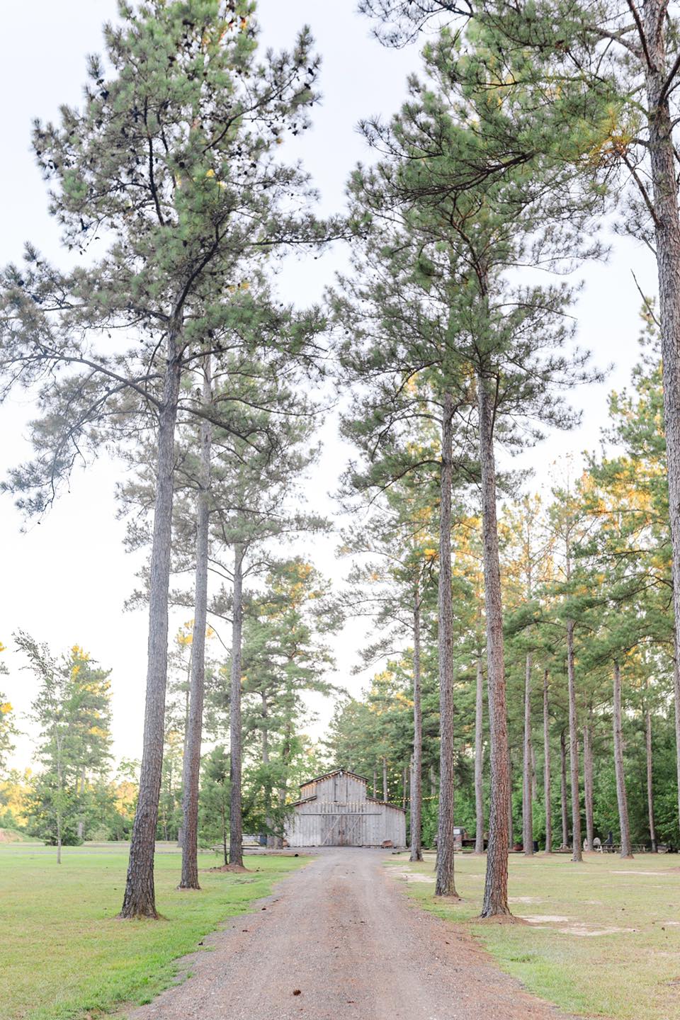 Rustic Ridge | DeRidder LA