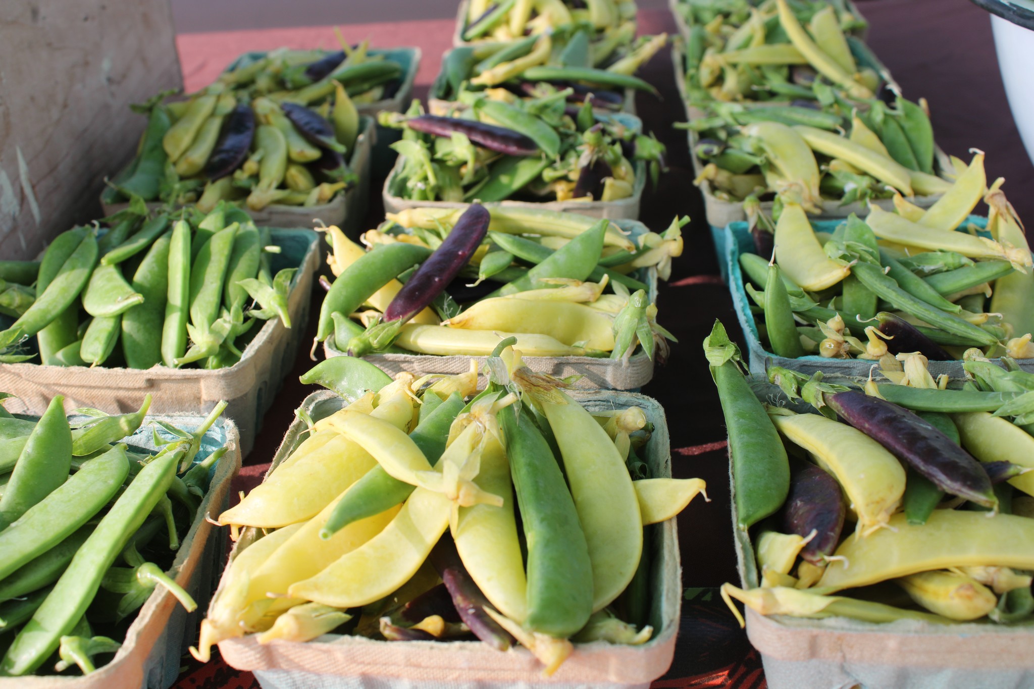 Hahn Farm | Ackley IA