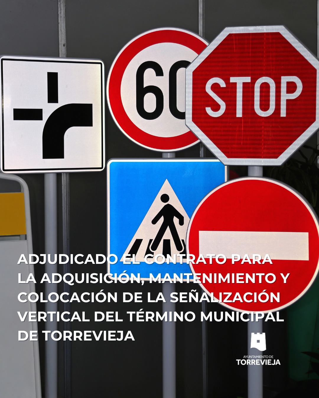 ayuntamiento-de-torrevieja-torrevieja