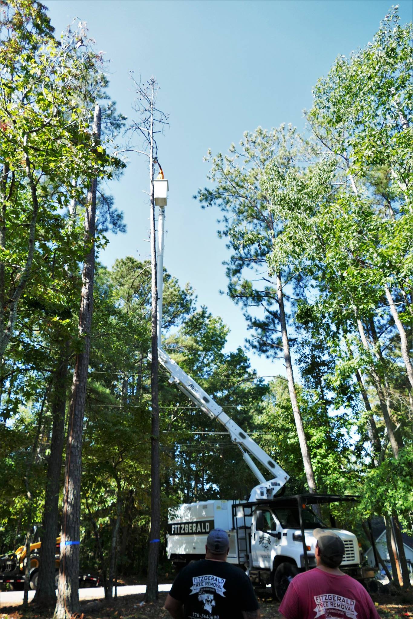 Fitzgerald Tree Removal LLC