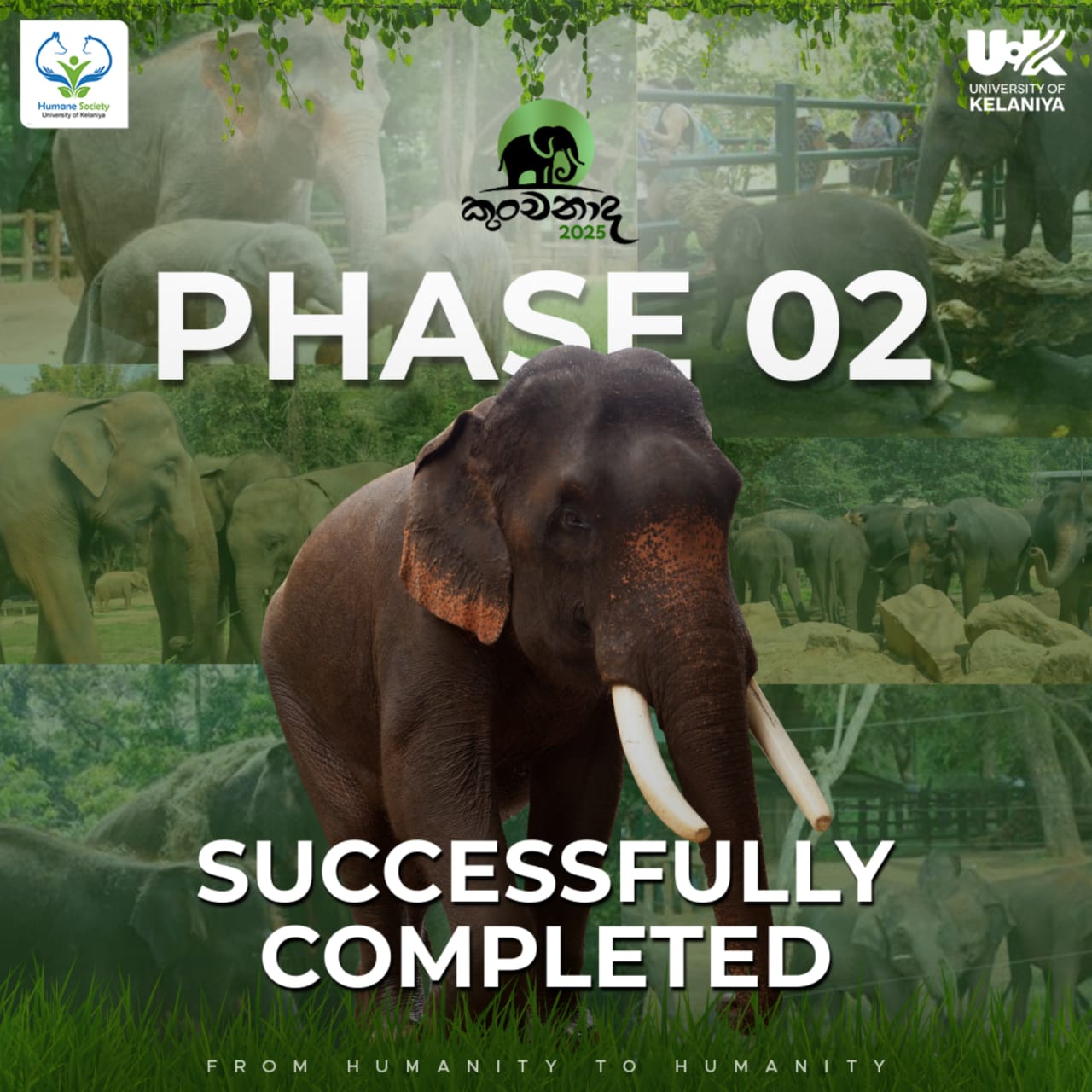 Humane - The journey carried stronger hope. 🌱🐘 Successfully Completed ...