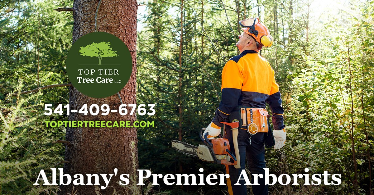 Top Tier Tree Care LLC | Jefferson OR
