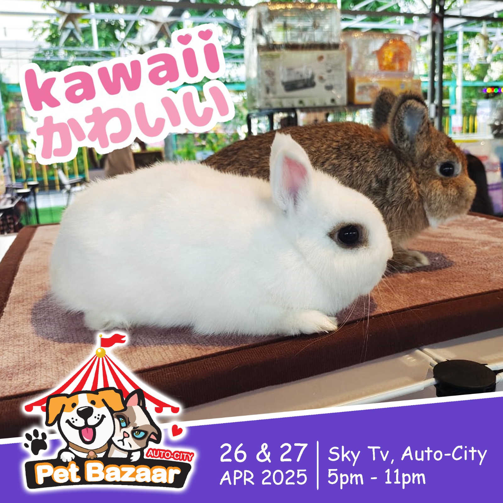 PetsWorld.MY - Pet-Friendly Places in Malaysia Directory | Kuala Lumpur