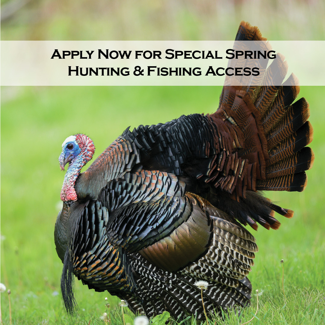 Ohio - 🗞️ NEWS: Apply Now for Special Spring Hunting and Fishing Access ...