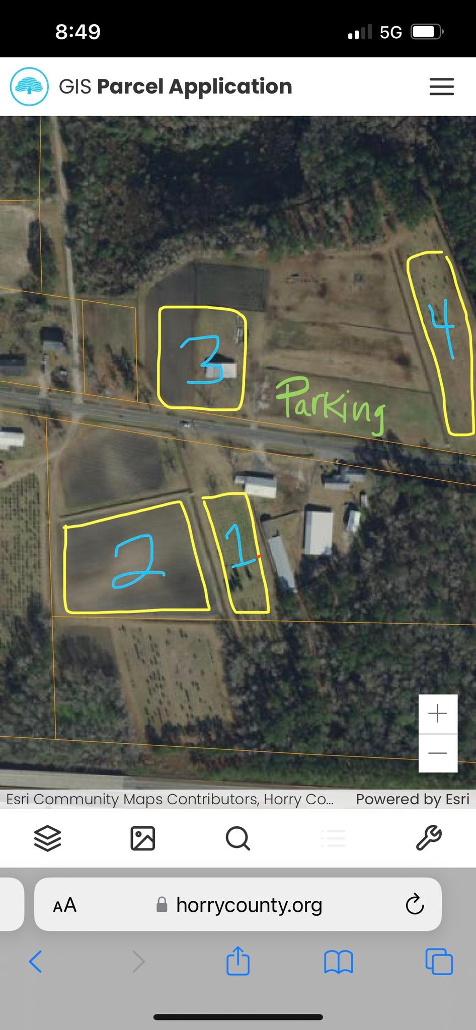 Booth's Christmas Tree Farm | Conway SC