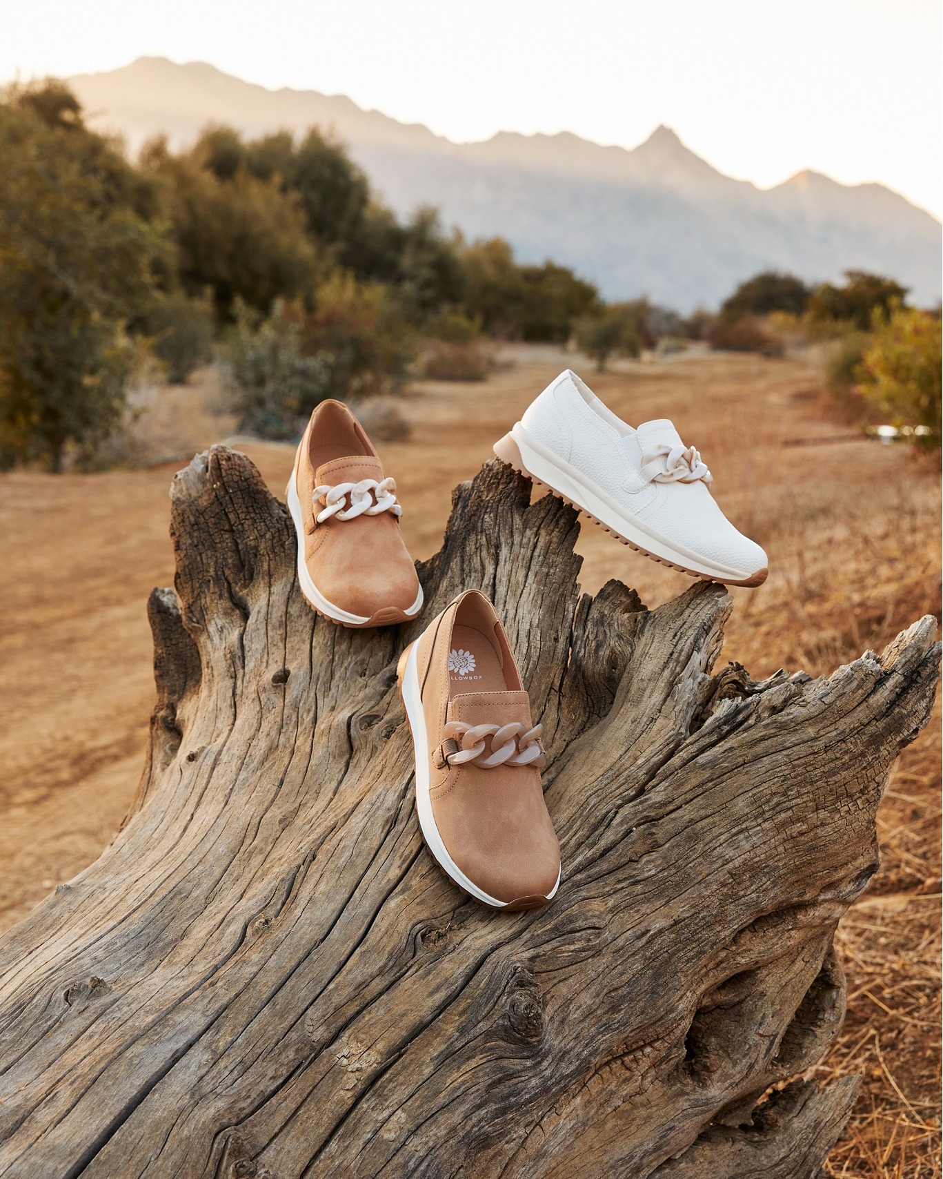 Yellow - Our Rory loafers are back in stock! Which color will you ...