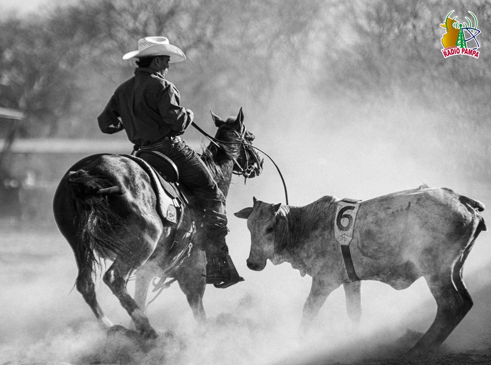 Pro Rodeo Costa Rica | La Fortuna