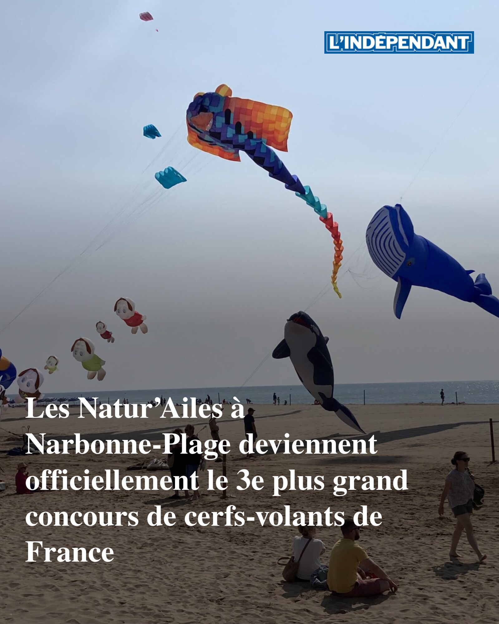 Cerf-volant Cobra Géant Pour Enfants Et Adultes – Mint's Colorful Life – Avec Ligne Et Poignée, Super Stable Et Facile à Piloter