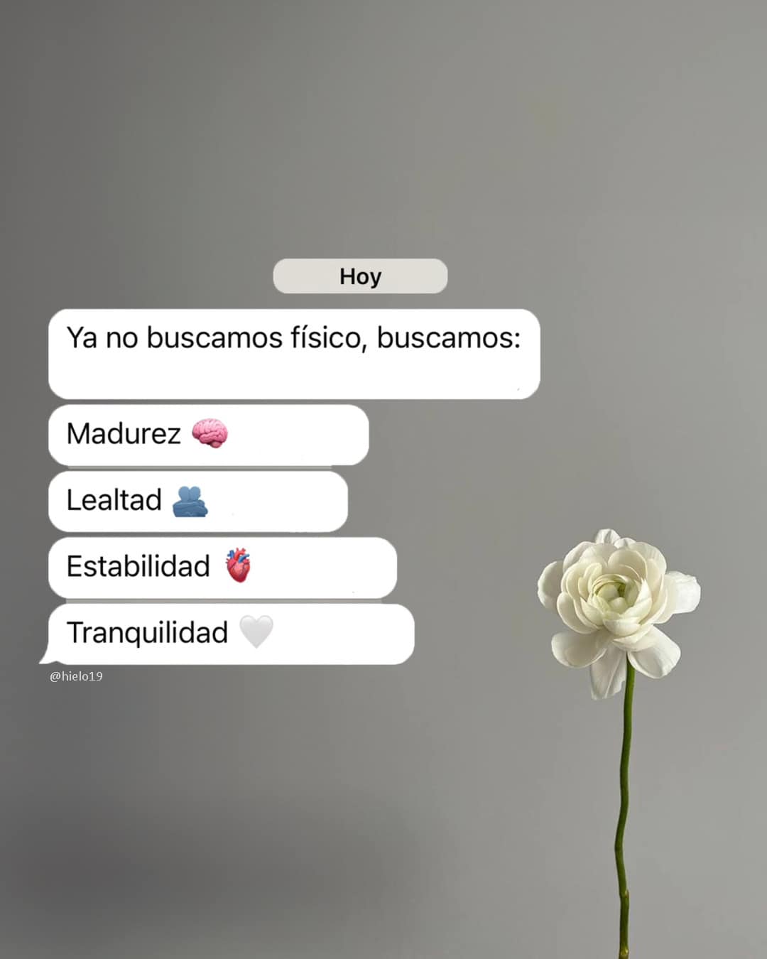 Dailany Zzp