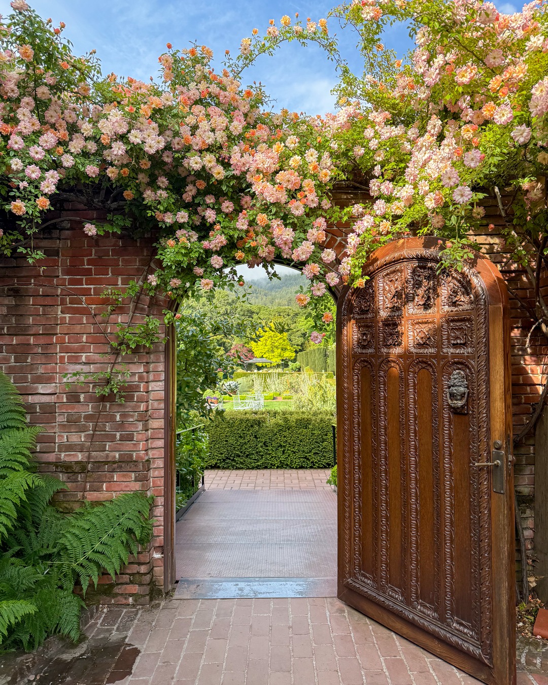 Filoli - Curious about what's blooming at Filoli? One of the highlights ...