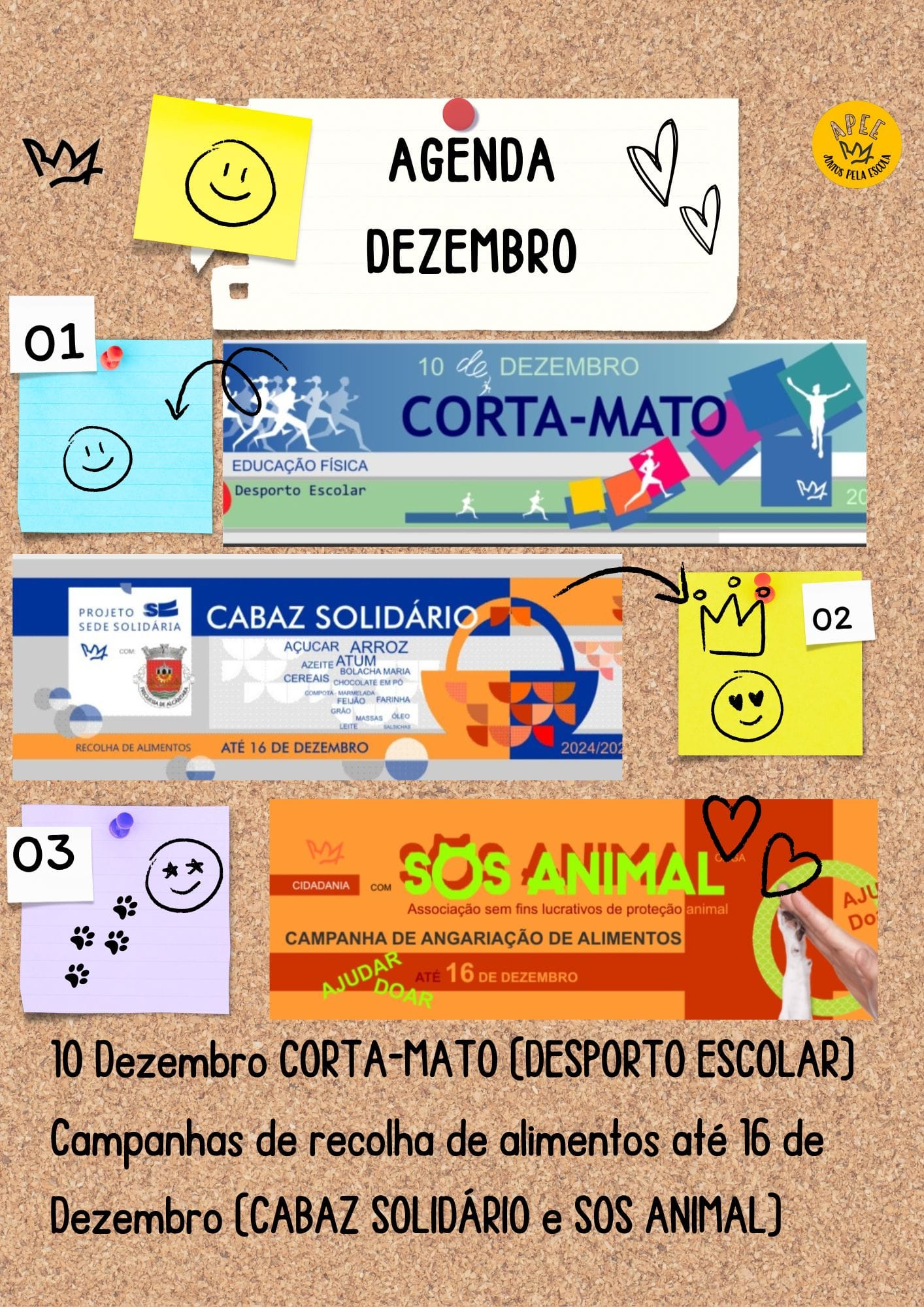 Associação de Pais e Encarregados de Educação da ESRDA