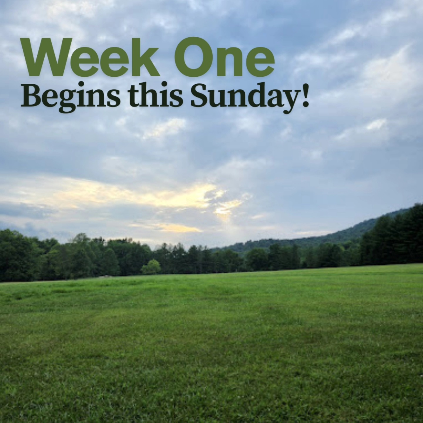 Fort - Look what's on the horizon!☀️ The first week of the camp season ...