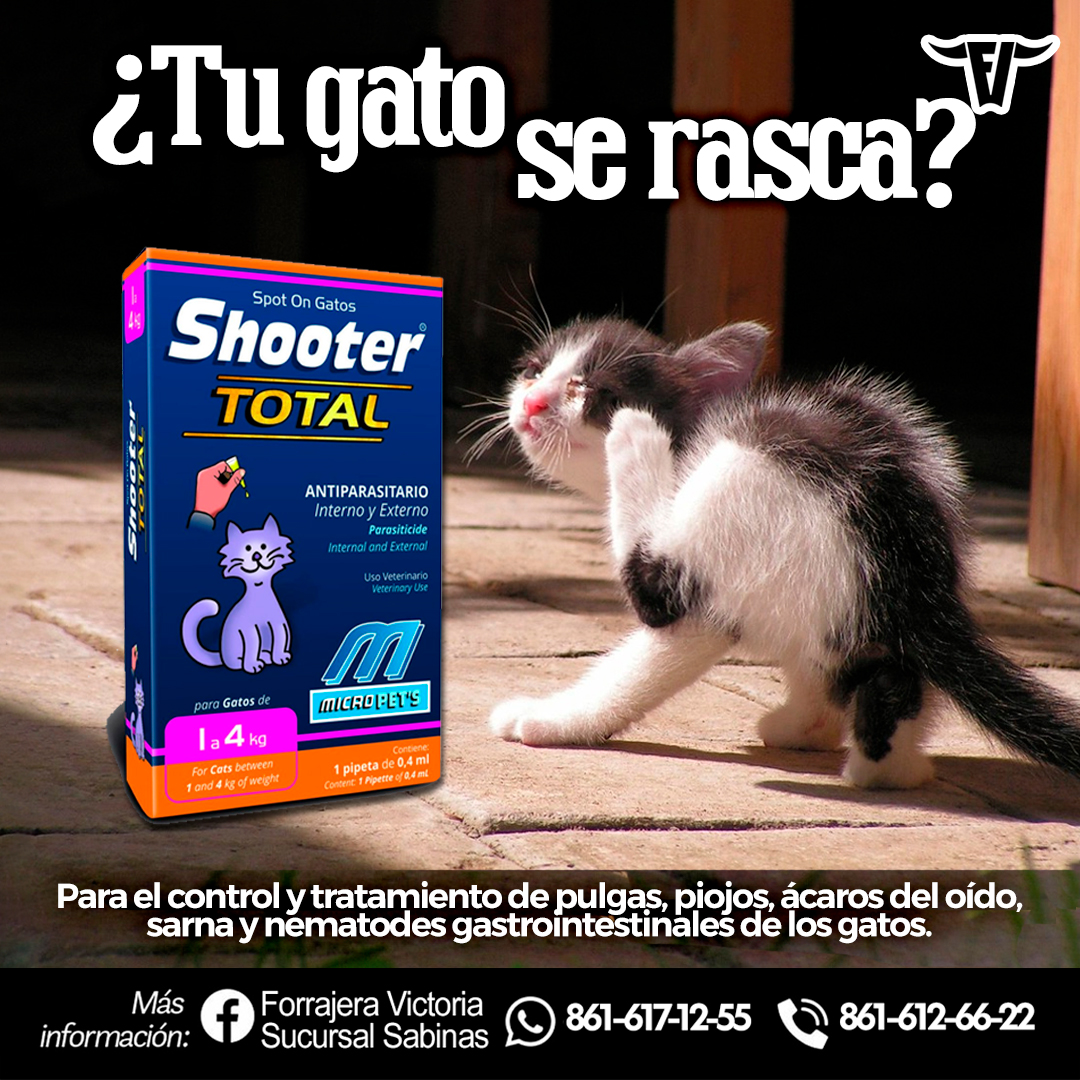Conoce el NUEVO Maiz... - Forrajera Victoria Sucursal Sabinas | Facebook