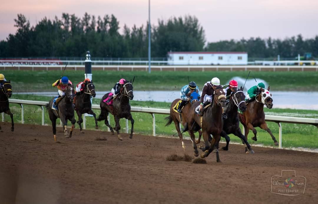 Bar None Ranches | Okotoks AB