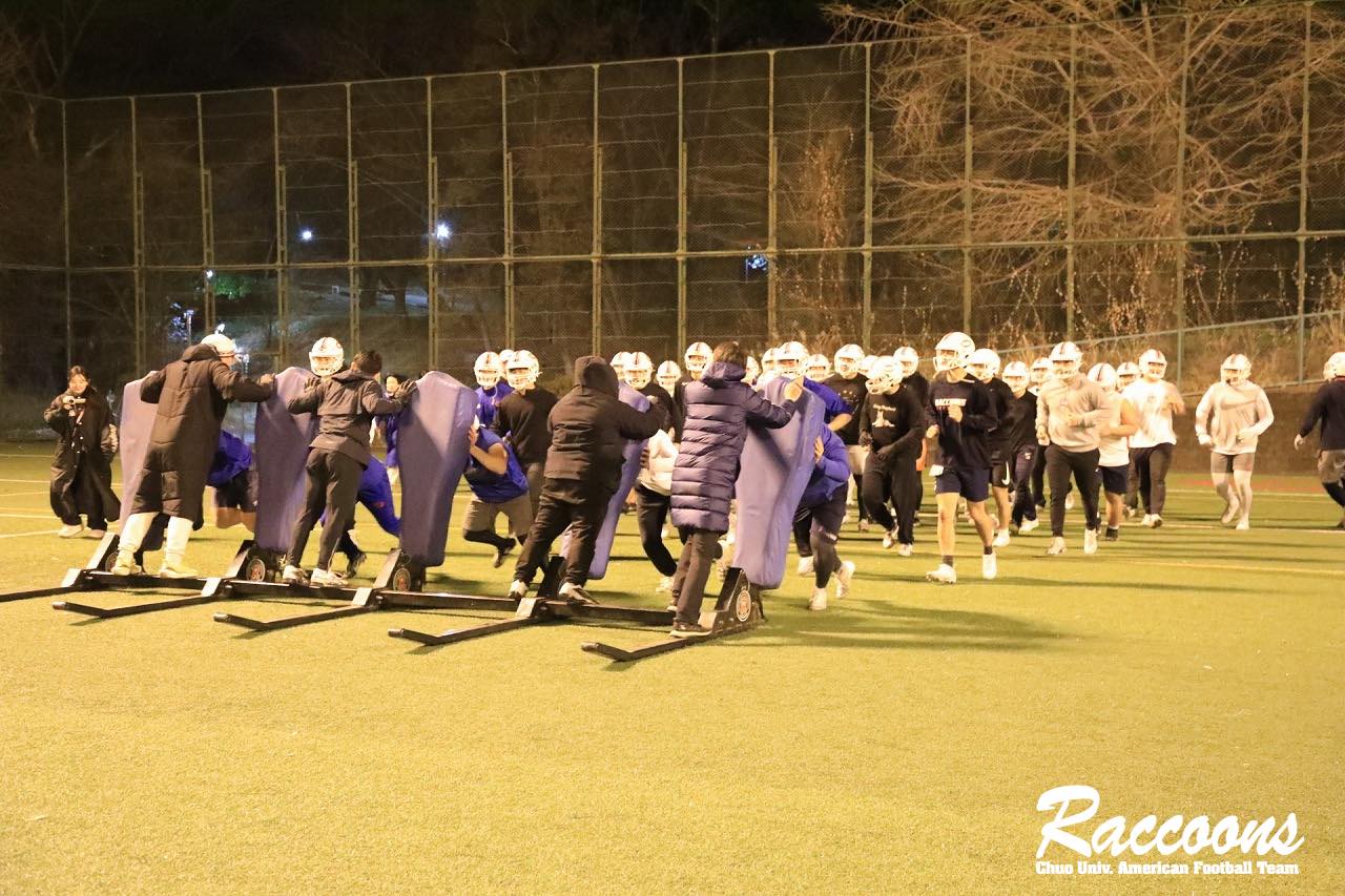 中央大学RACCOONS