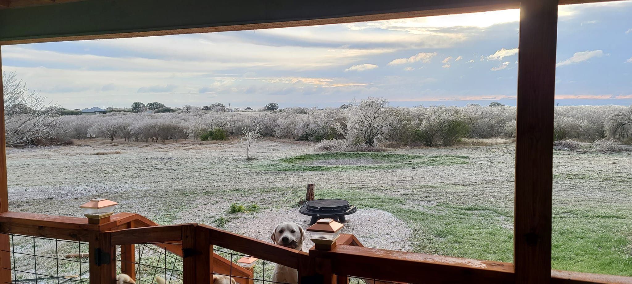 MatPat Farm | Beeville TX