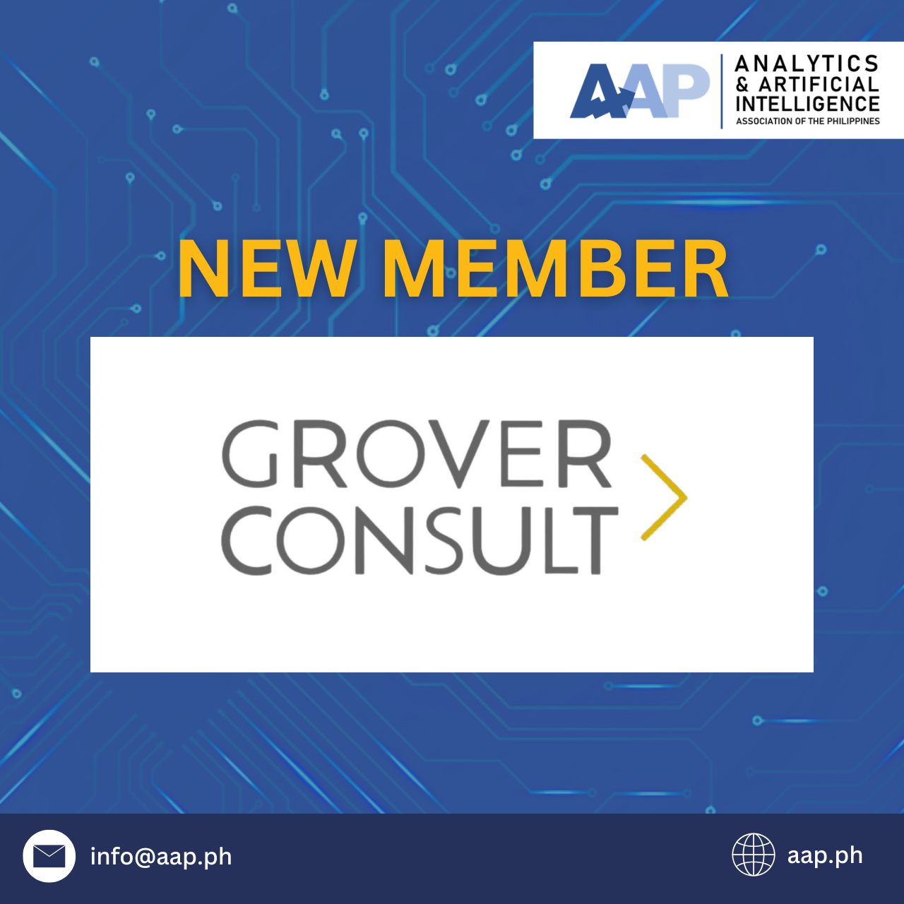 Analytics & Artificial Intelligence Association of the Philippines ...