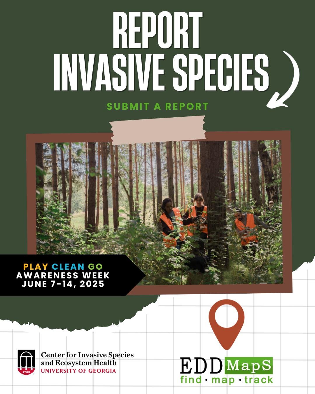 Bugwood Center for Invasive Species and Ecosystem Health - Having a ...