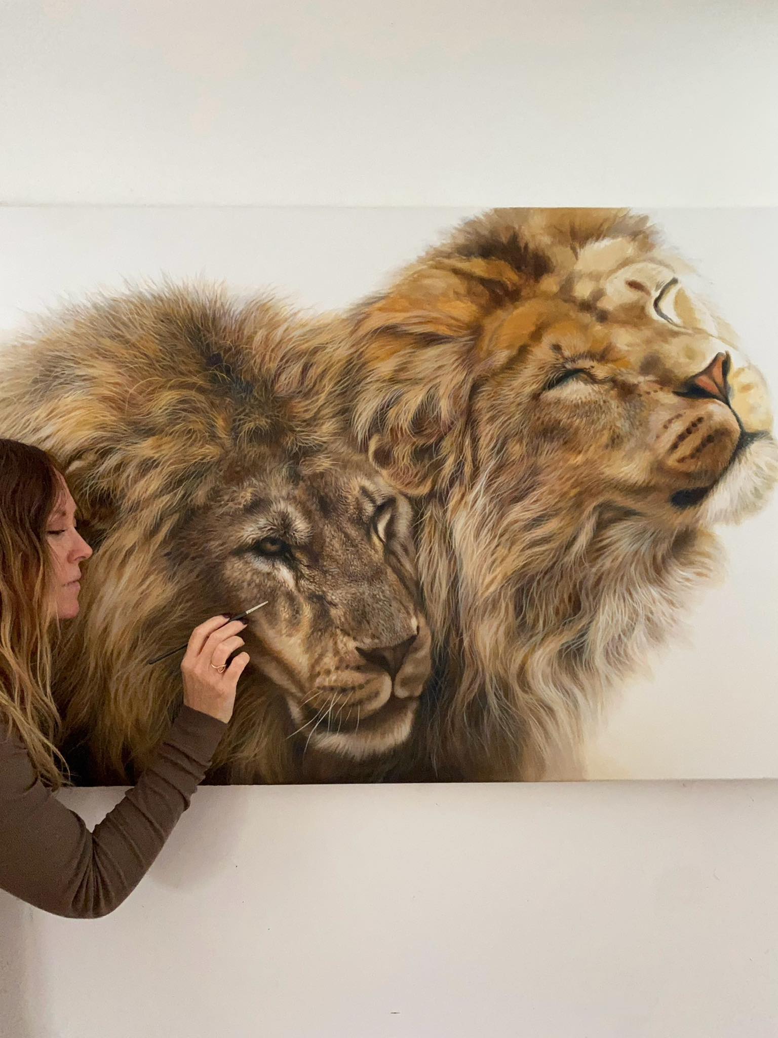 Painting... - Julie Rhodes - wildlife pencil drawings | Facebook