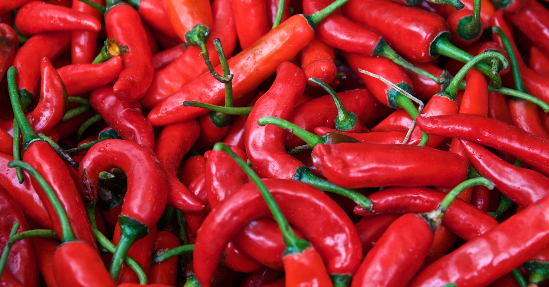 19th Annual Downtown Chili Cook-Off & Fall Festival