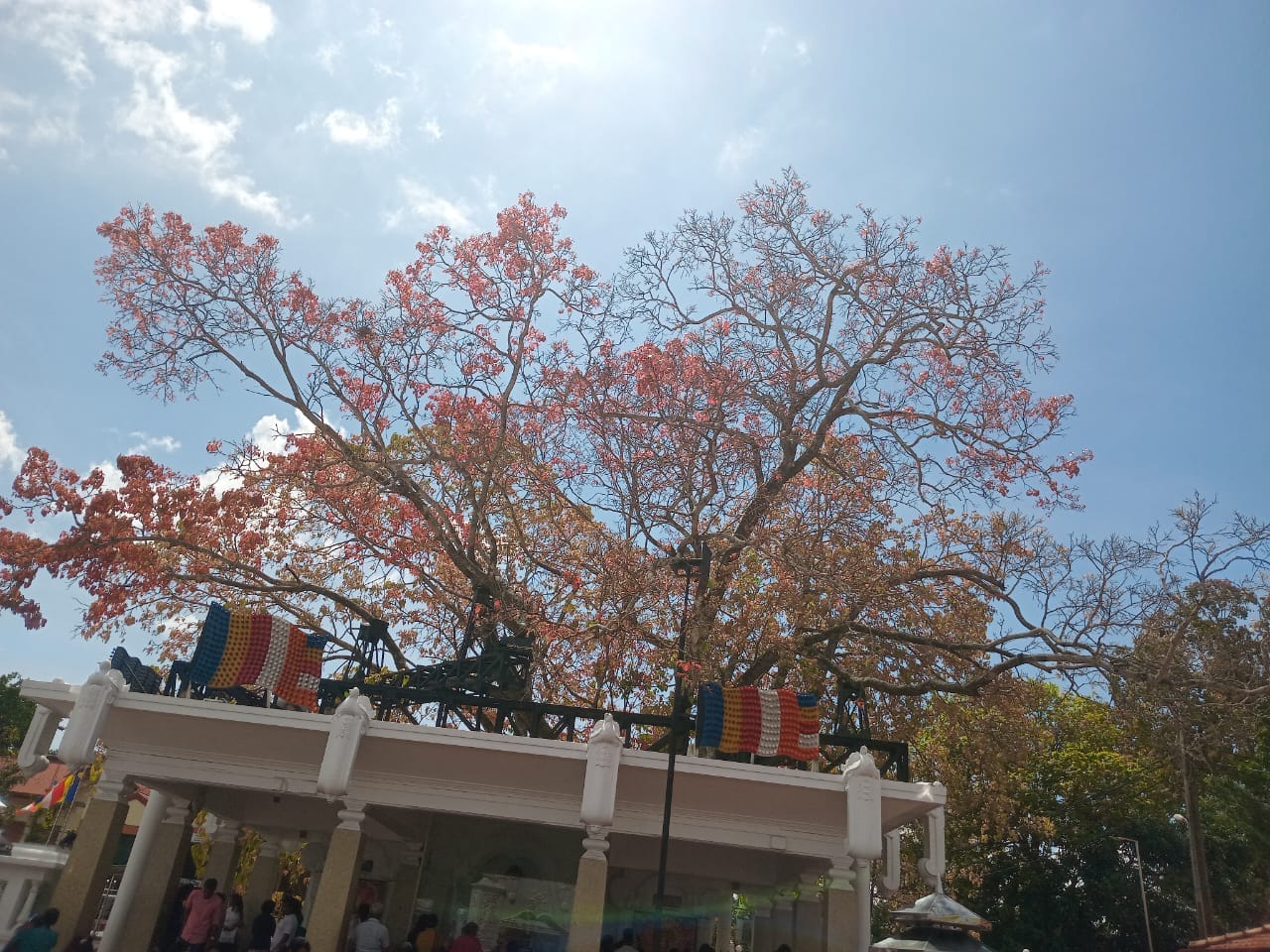 අපි මාතර - Api Matara