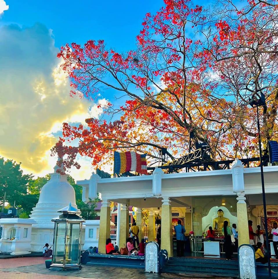 අපි මාතර - Api Matara