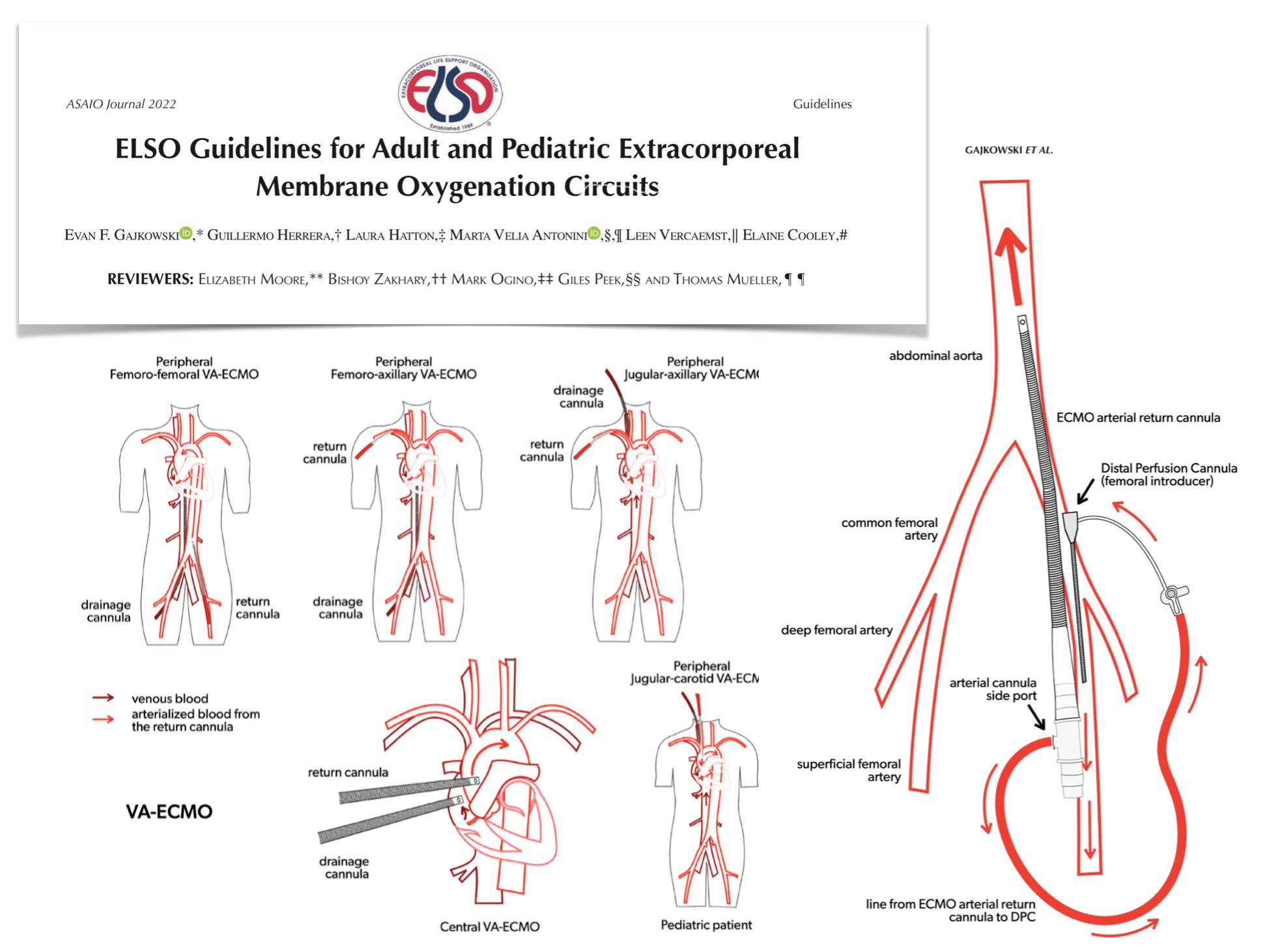 Finally here in 📄 paper & ink 🖋️!! The 5th edition of the #ECMO