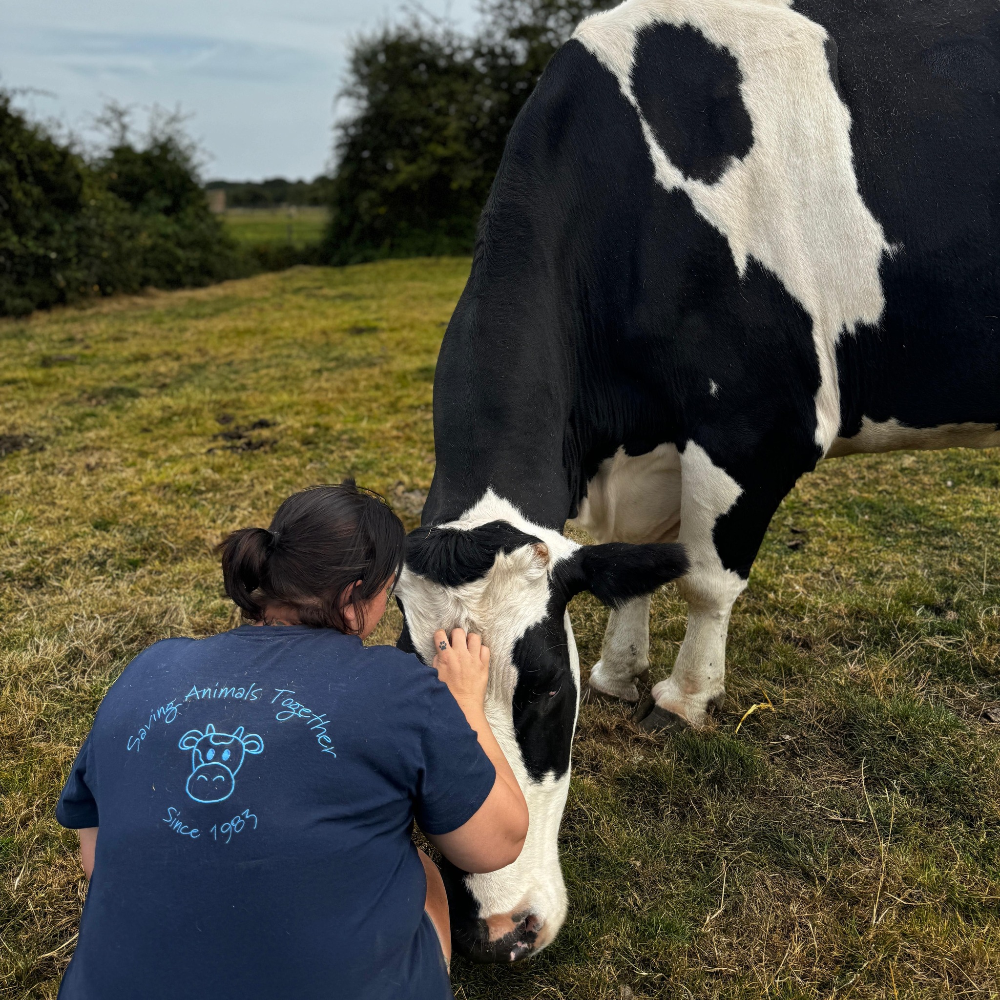 Hopefield... - Hopefield Animal Sanctuary & Visitor Centre