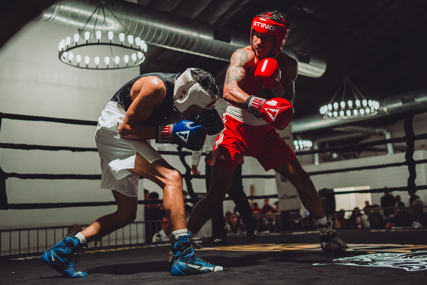 Schlitte's Boxing & Fitness | Spring TX