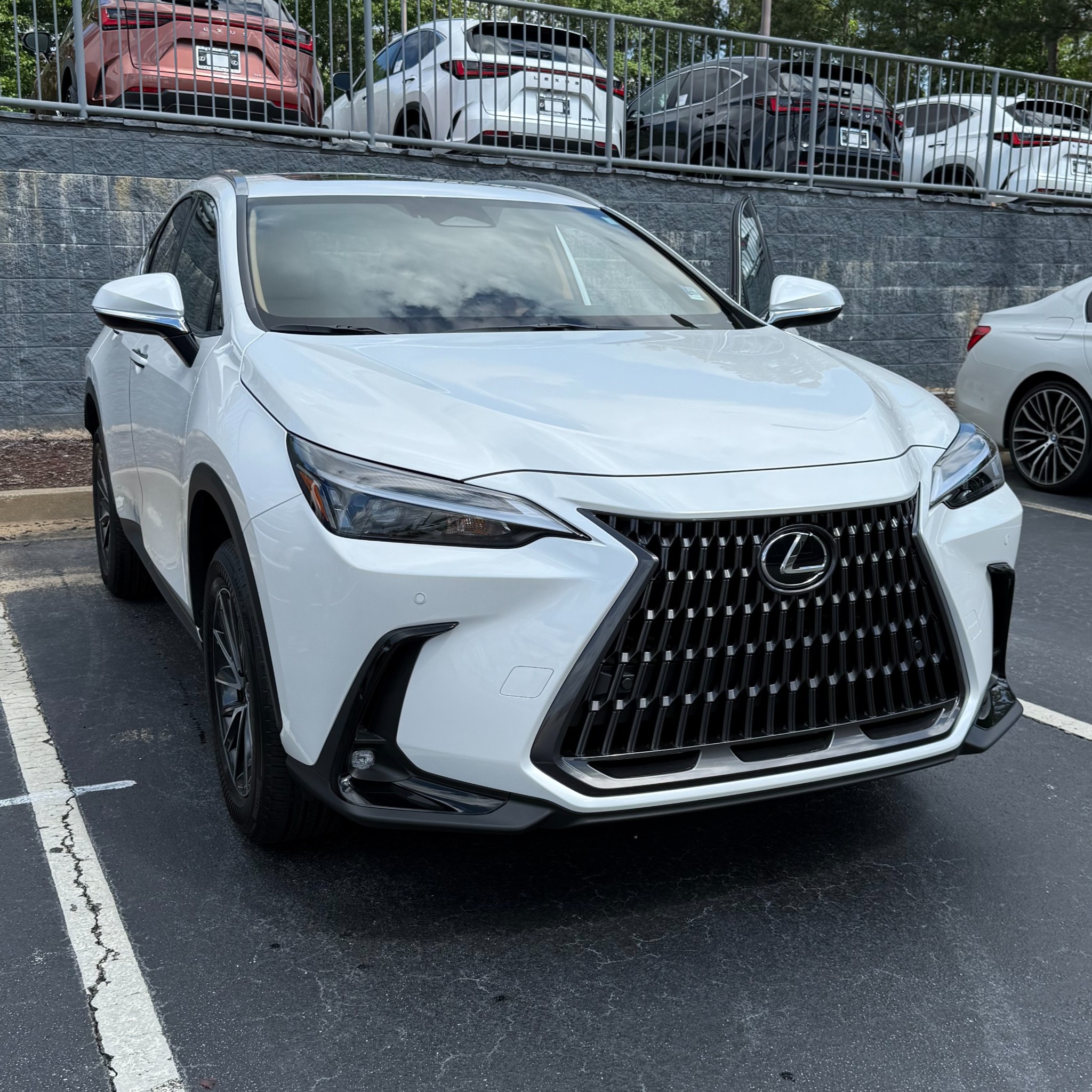 Butler - 🚗 Meet the 2025 Lexus NX — where luxury meets innovation. With ...