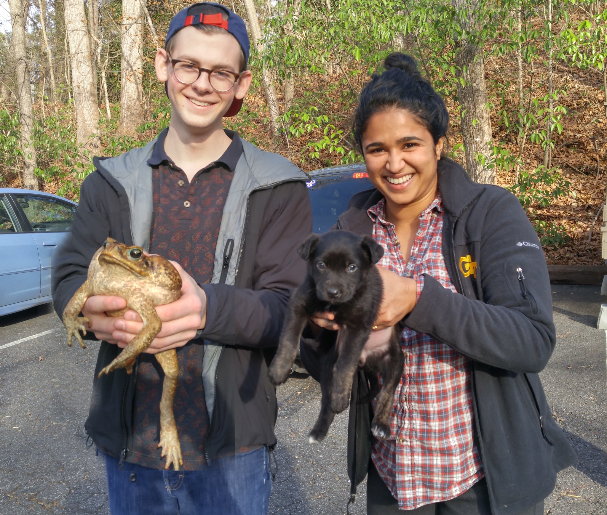 The Amphibian - Whopping Toad Wednesday! We love big bufonids and we ...