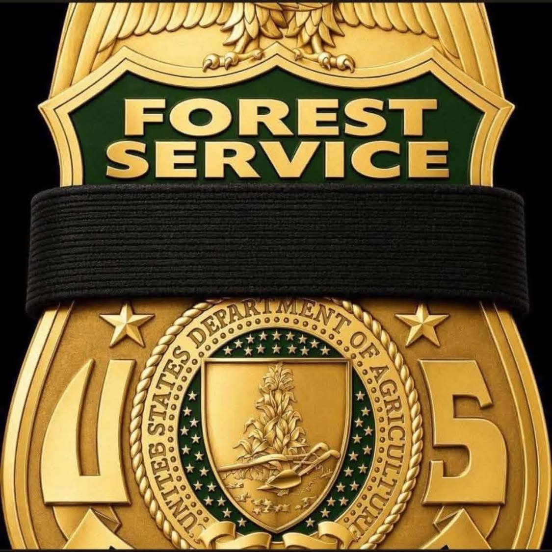 BMW N63 N63TU Owners | Replacing the n63 in the car with one from the ...