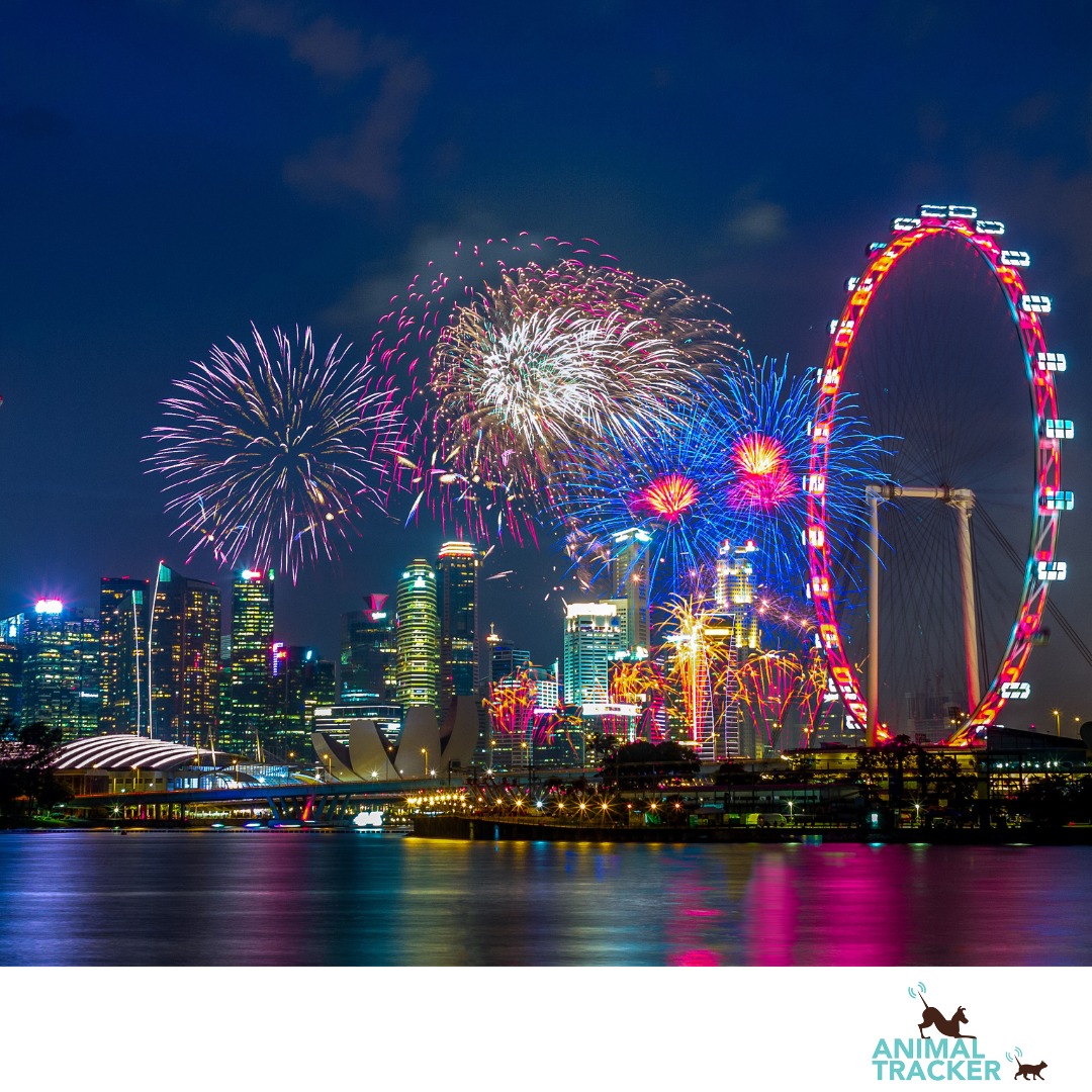 Peddymark / Animal Tracker
