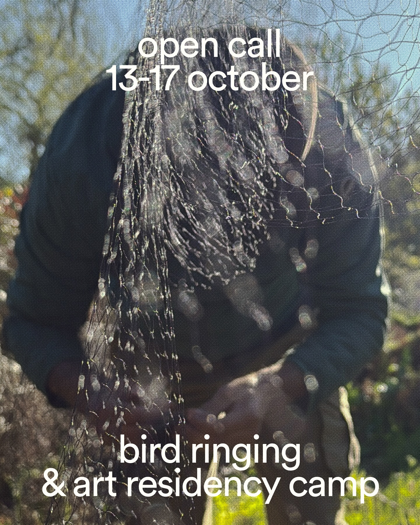 AOS-Albanian - • Bird Ringing & Art Residency Camp Divjakë–Karavasta ...