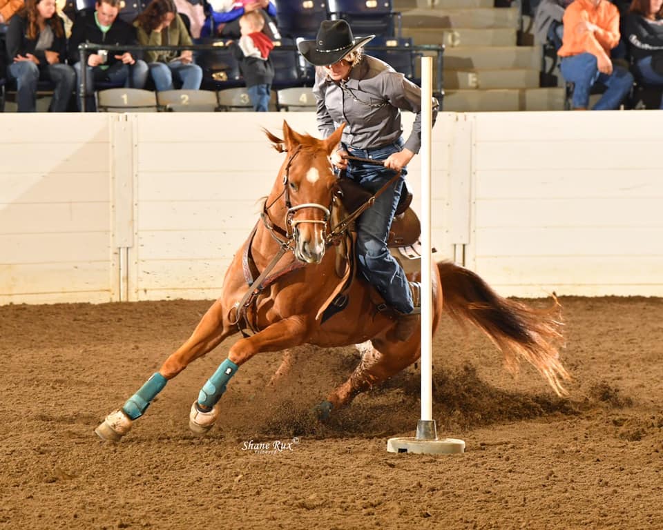 JJ Performance Horses