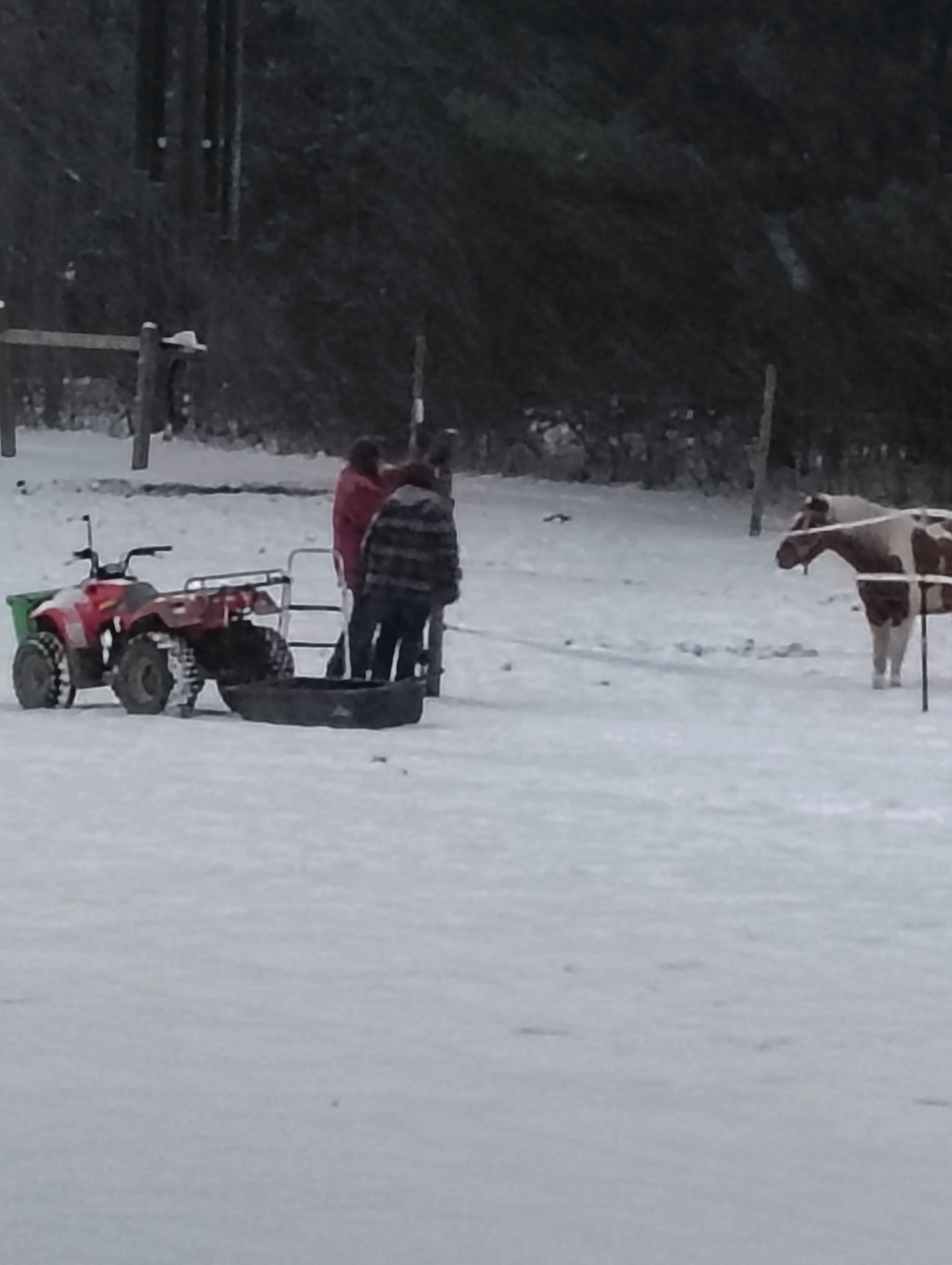 Pony Time Ranch and Mobile Petting Zoo | Lowellville OH