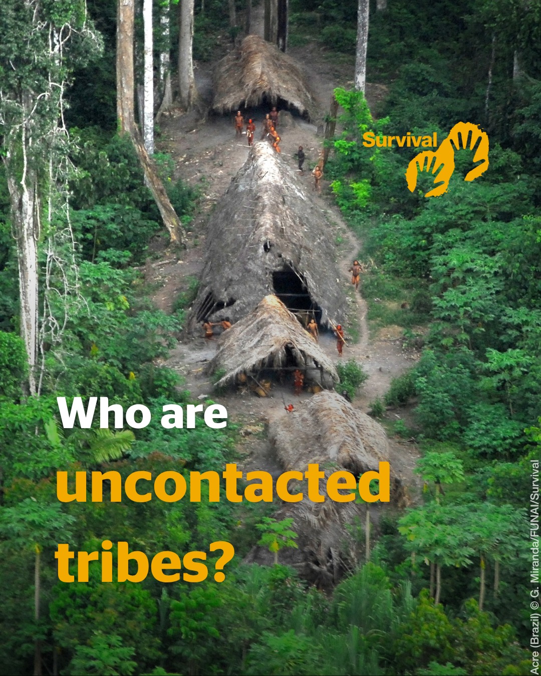 Survival - 🌏 There are over 150 uncontacted peoples around the world ...