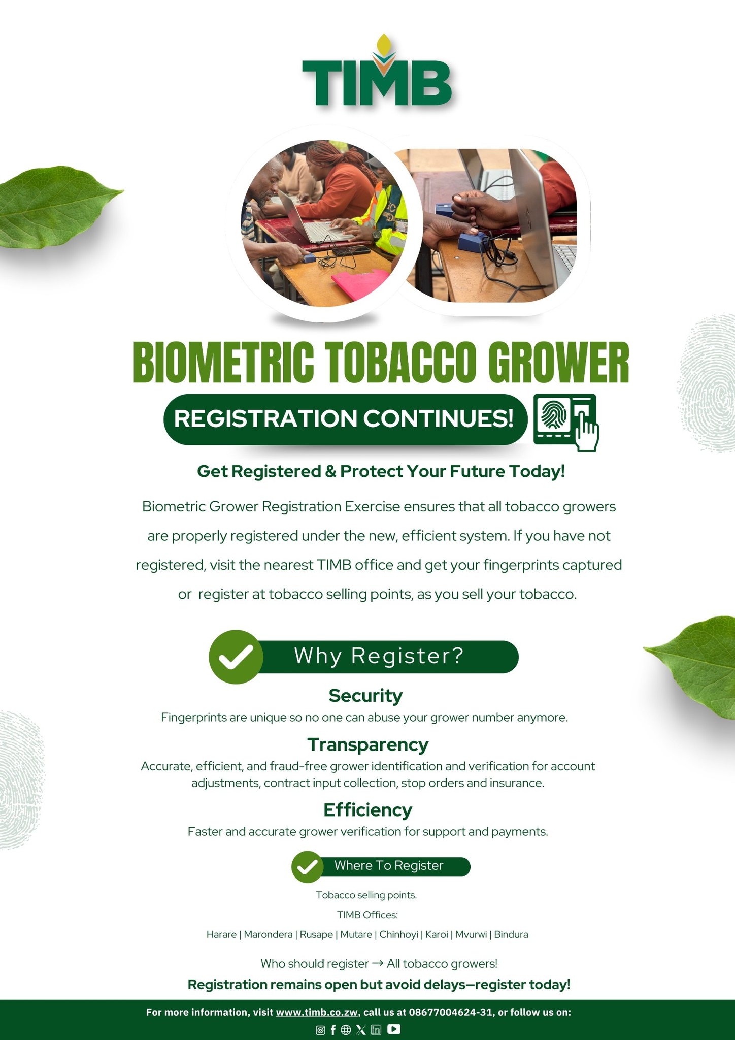 how to get a tobacco contract Inside the 'Bondage' of Zimbabwe's Farming Free No Smoking Lease Addendum