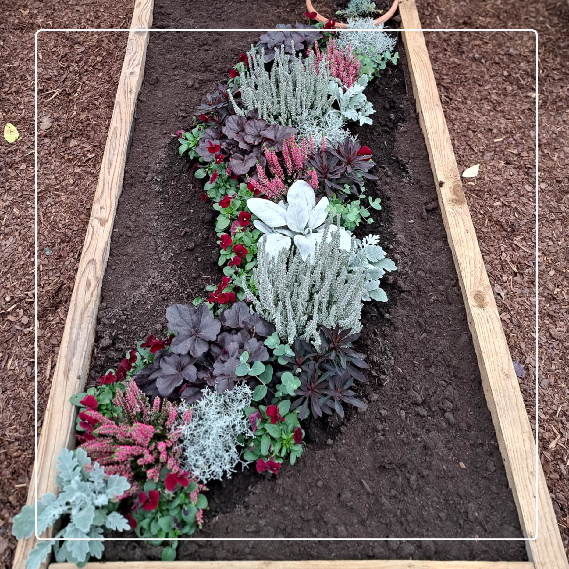 𝗛𝗲𝗿𝗯𝘀𝘁𝗯𝗲𝗽𝗳𝗹𝗮𝗻𝘇𝘂𝗻𝗴𝗲𝗻 𝗳ü𝗿 𝗚𝗿ä𝗯𝗲𝗿 Allerheiligen steht vor der Tür, Zeit die Gräber auf Vordermann zu bringen und für den Herbst und Winter vorzubereiten. Wir haben viele tolle Ideen für Grabbepflanzun
